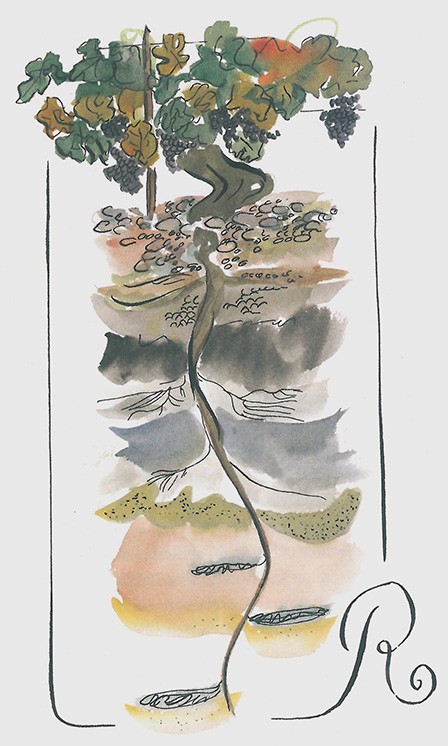 Académie du vin de Bordeaux - Histoire Académie du vin de Bordeaux - Histoire