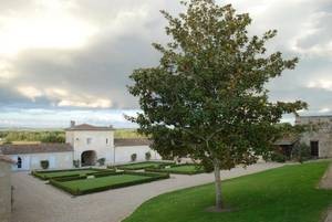 Château de Fargues